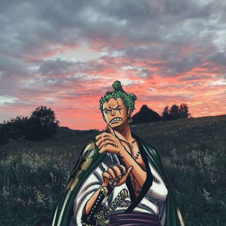 Zoro from One Piece looking confused against a sunset